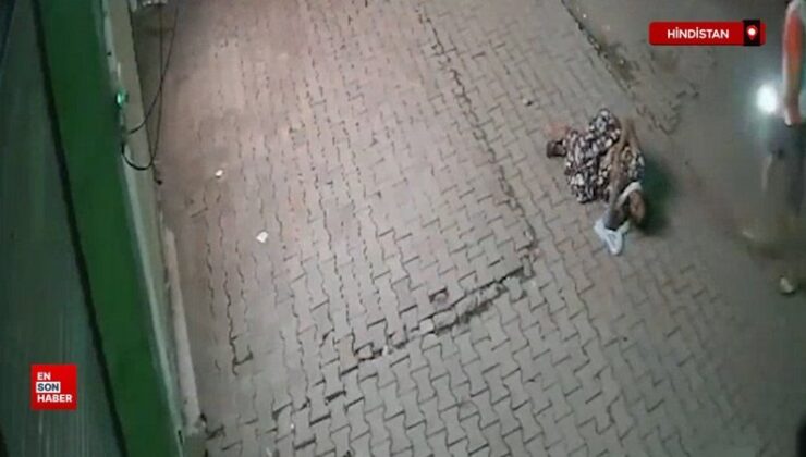 Hindistan’da başıboş inek yaşlı bayana saldırdı