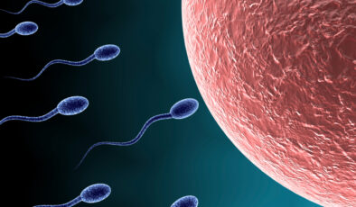 İnsan spermi ve yumurtası yakında laboratuvarlarda yetiştirilebilir