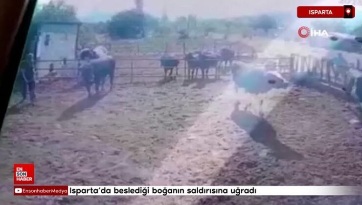 Isparta’da beslediği boğanın saldırısına uğradı