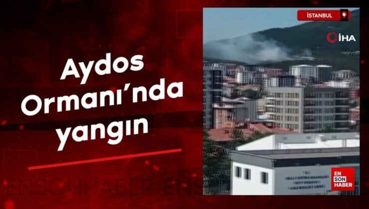 İstanbul Aydos Ormanı’nda yangın