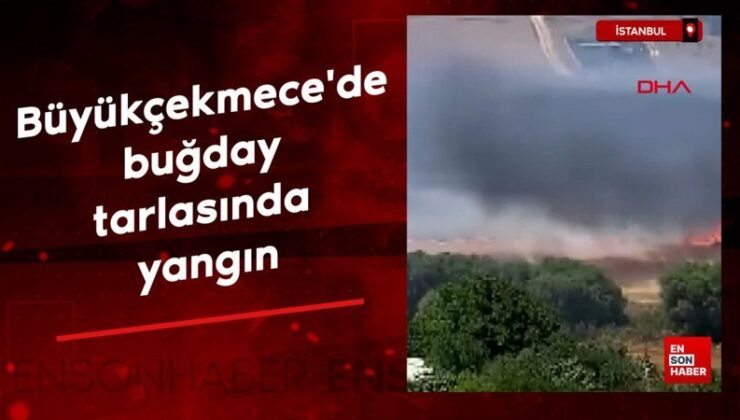 İstanbul Büyükçekmece’de buğday tarlasında yangın