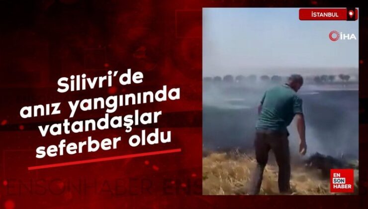 İstanbul Silivri’de anız yangınında vatandaşlar seferber oldu