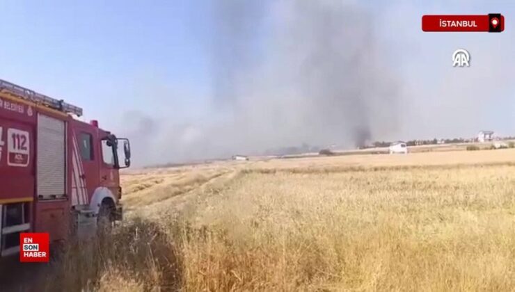İstanbul Silivri’de otluk alanda çıkan yangın söndürüldü