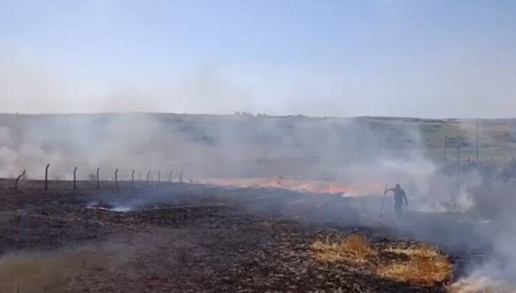 İstanbul’da bir tarlada çıkan yangına, vatandaşlar hortumla müdahale etti