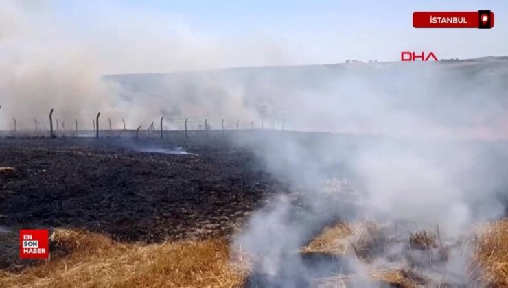 İstanbul’da bir tarlada çıkan yangına, vatandaşlar hortumla müdahale etti