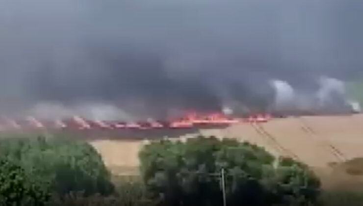 İstanbul’da buğday tarlasında korkutan yangın
