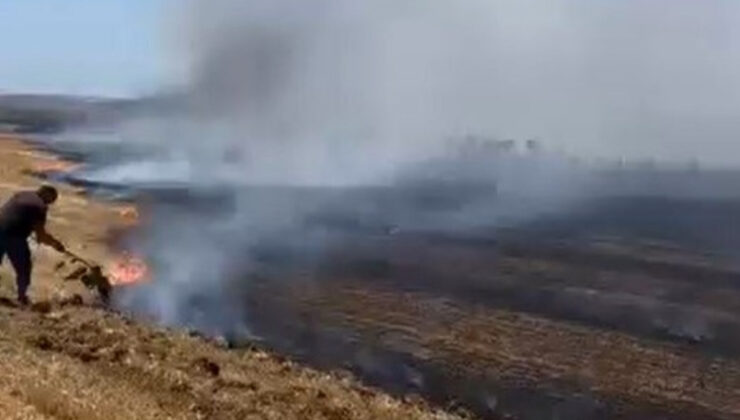 İstanbul’da çıkan anız yangınına vatandaşlar traktör ve çalılarla müdahale etti