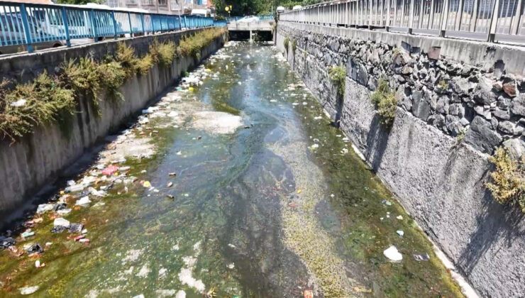 İstanbul’da Galata Deresi çöple doldu: Mahalleli reaksiyon gösterdi