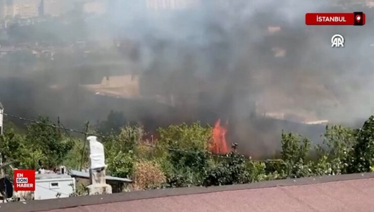 İstanbul’da otluk alanda yangın çıktı