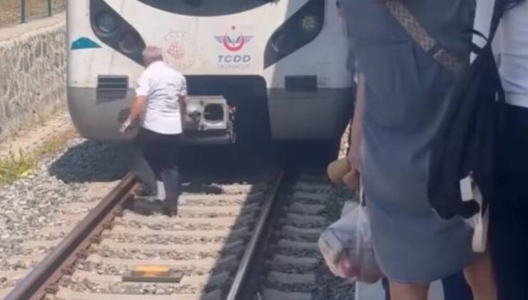 İstanbul’da raylarda duran yavru kediyi fark eden makinist treni durdurdu