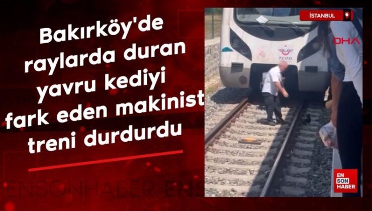 İstanbul’da raylarda duran yavru kediyi fark eden makinist treni durdurdu