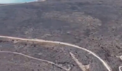 İzmir Çeşme’de yanan alanlar görüntülendi