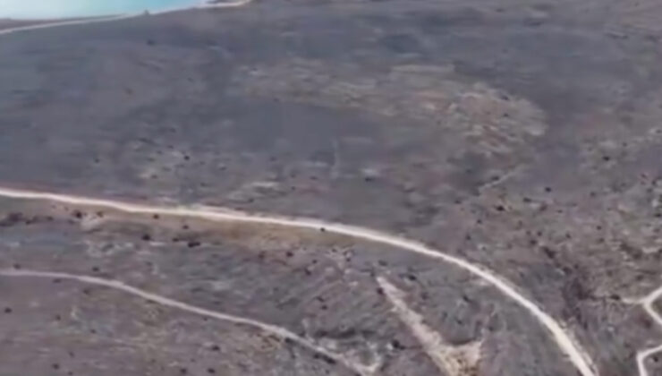 İzmir Çeşme’de yanan alanlar görüntülendi