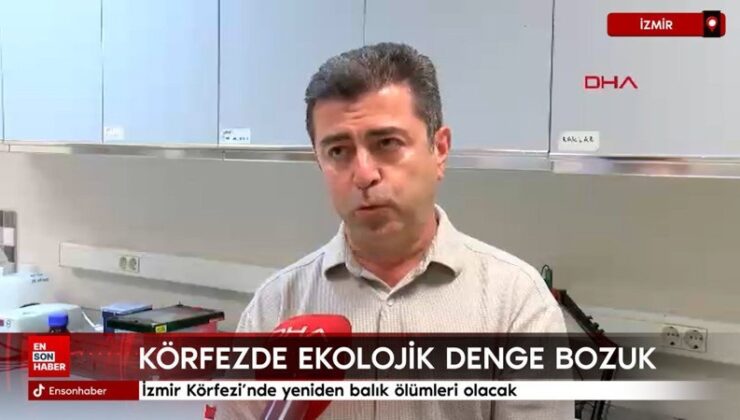 İzmir Körfezi’nde yine balık vefatları olacak