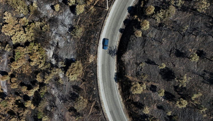 İzmir Ödemiş’te yangında küle dönen alanlar görüntülendi