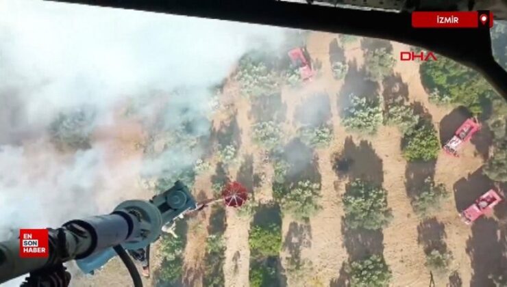 İzmir Urla’da orman yangını
