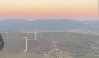 İzmir’de Aliağa’daki orman yangını denetim altında