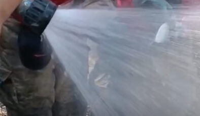 İzmir’deki orman yangınında canlı bulunan balığı itfaiye takımları kurtardı