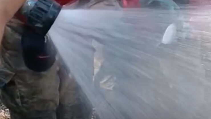 İzmir’deki orman yangınında canlı bulunan balığı itfaiye takımları kurtardı