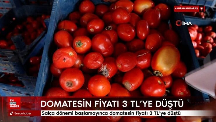 Kahramanmaraş’ta salça devri başlamayınca domatesin fiyatı 3 TL’ye kadar düştü