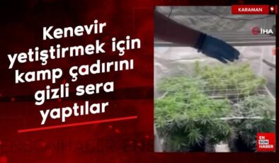 Karaman’da kenevir yetiştirmek için kamp çadırını kapalı sera yaptılar