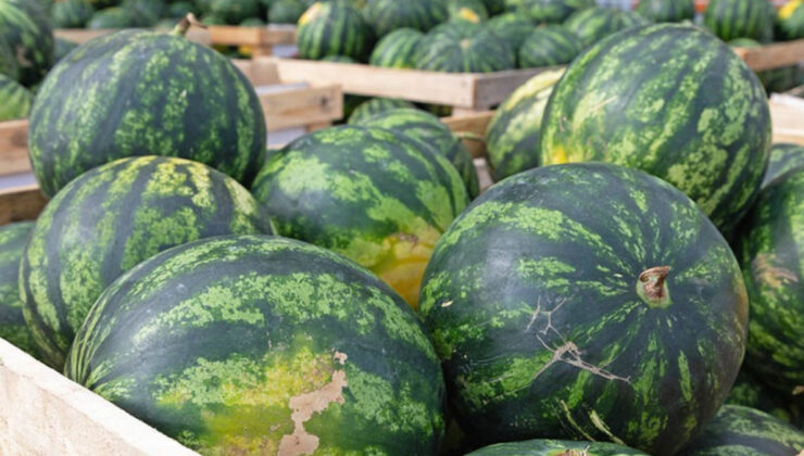 Karpuzun kabuğuna dikkat! Bu işaret zehirli olduğunu gösteriyor