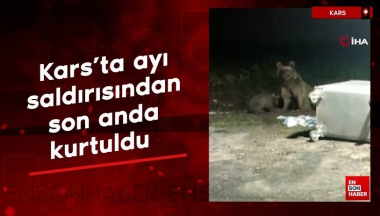 Kars’ta ayı saldırısından son anda kurtuldu