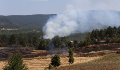 Kastamonu’da orman yangını