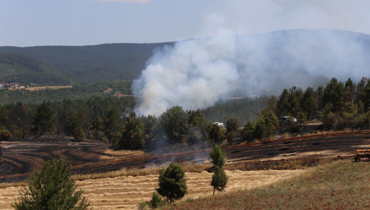 Kastamonu’da orman yangını