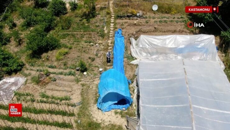 Kastamonu’da yaz sıcağına enteresan tahlil