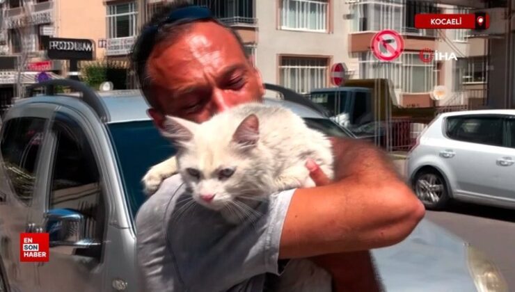 Kocaeli’de kayıp kedisine günler sonra kavuştu bu sefer memnunluktan ağladı