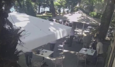 Kocaeli’den çınardan kopan kol can aldı