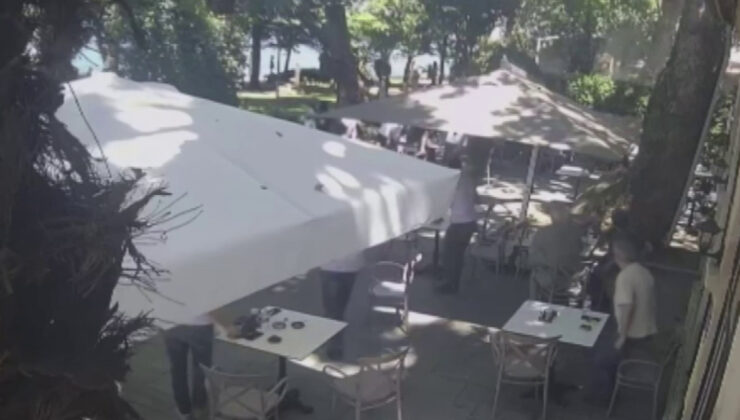 Kocaeli’den çınardan kopan kol can aldı