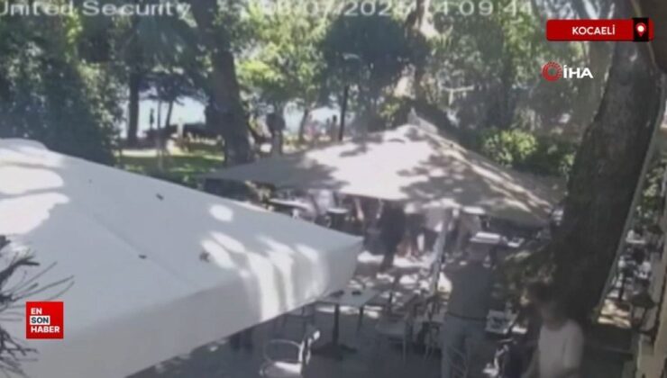 Kocaeli’den çınardan kopan kol can aldı