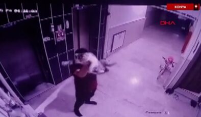 Konya’da kediyi yere fırlatan kuşkulu gözaltına alındı