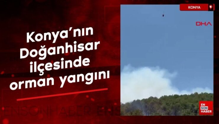 Konya’nın Doğanhisar ilçesinde orman yangını çıktı