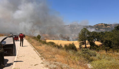 Kütahya’da biçerdöver nedeniyle çıkan yangında, 2,5 dekar ekili alan ziyan gördü