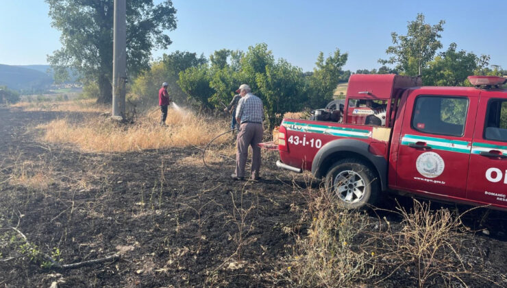 Kütahya’da yüksek tansiyon çizgisine çarpan kuş yangına neden oldu