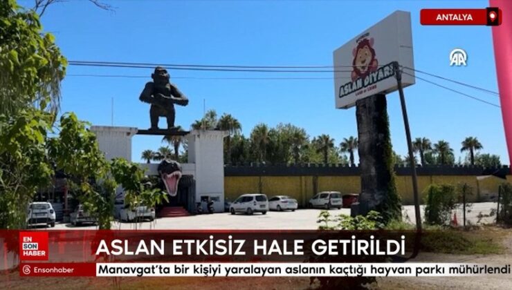 Manavgat’ta bir kişiyi yaralayan aslanın kaçtığı hayvan parkı mühürlendi
