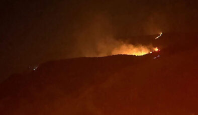 Manisa Sarıgöl’de çıkan akabinde Uşak’a ulaşan yangın denetim altında