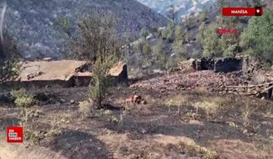 Manisa Sarıgöl’de çıkan Uşak’a ulaşan yangın 10,5 saatte denetim altına alındı