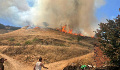 Manisa’da tarım yerinde çıkan yangın ormana sıçradı