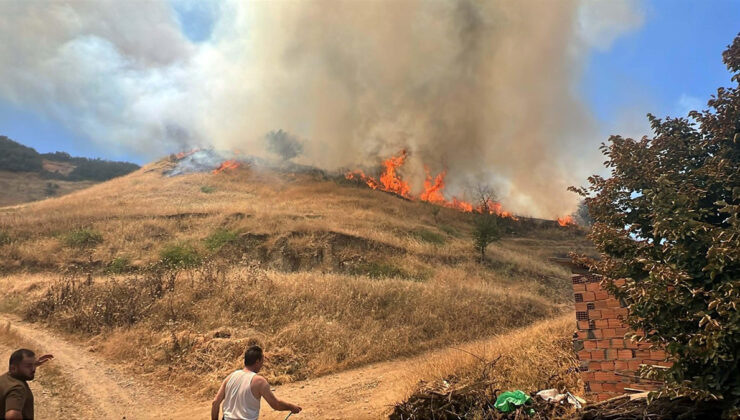 Manisa’da tarım yerinde çıkan yangın ormana sıçradı