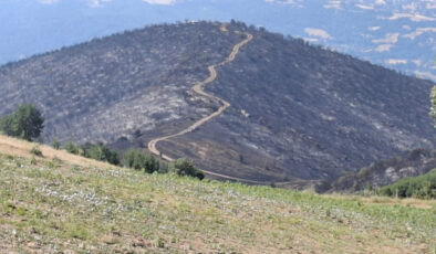 Manisa’da yangından geriye küle dönen konutlar ve tarlalar kaldı