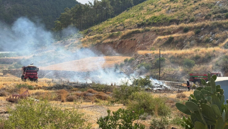 Mersin’de yangın ormana sıçramadan müdahale edildi