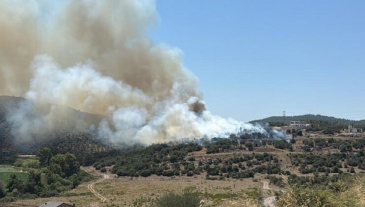 Milas’ta ziraat alanında çıkan yangın söndürüldü