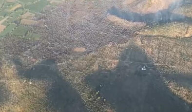 Milas’taki zeytinlik yangını 12 saatte denetim altına alındı