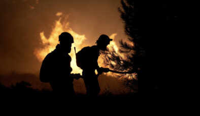 Orman yangınlarıyla gayrete yaklaşık 39 bin istekli dayanak oldu