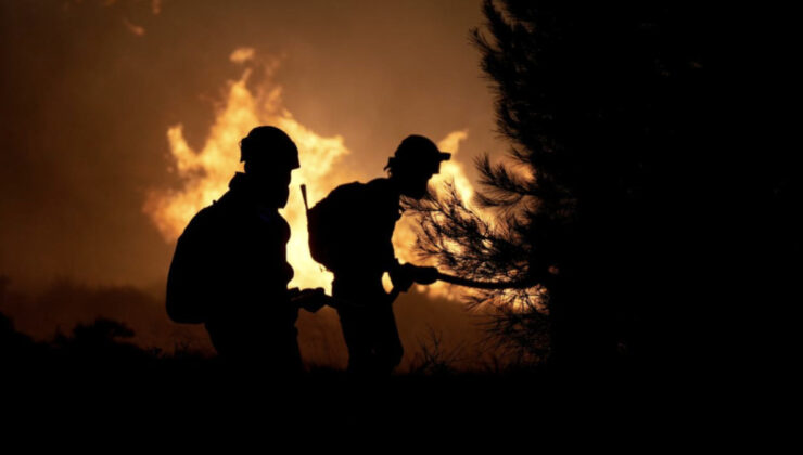 Orman yangınlarıyla gayrete yaklaşık 39 bin istekli dayanak oldu