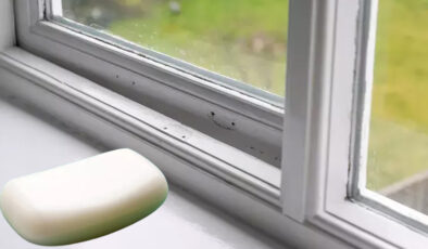 Pencere kenarına bir ölçü sürün, sivrisineklerden temelli kurtulun